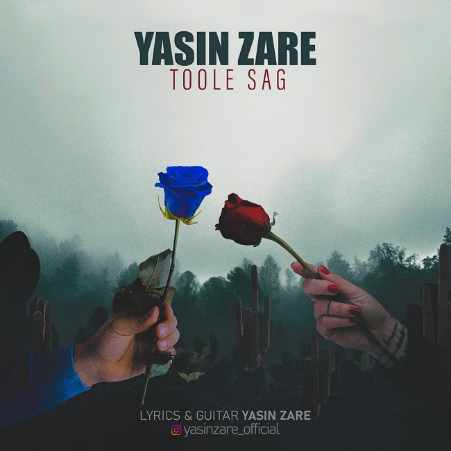 Yasin Zare – Toole Sag